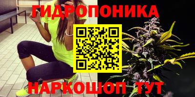 спайс Шахты