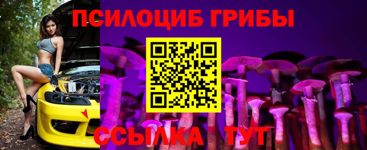 Галлюциногенные грибы мицелий  Вход с VPN  Сибай  Галлюциногенные грибы прущие грибы 